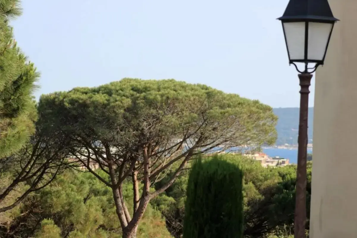 Les Pins Bleus A8 Sainte Maxime 6