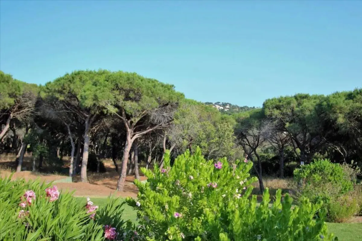 Les Pins Bleus A8 Sainte Maxime 16