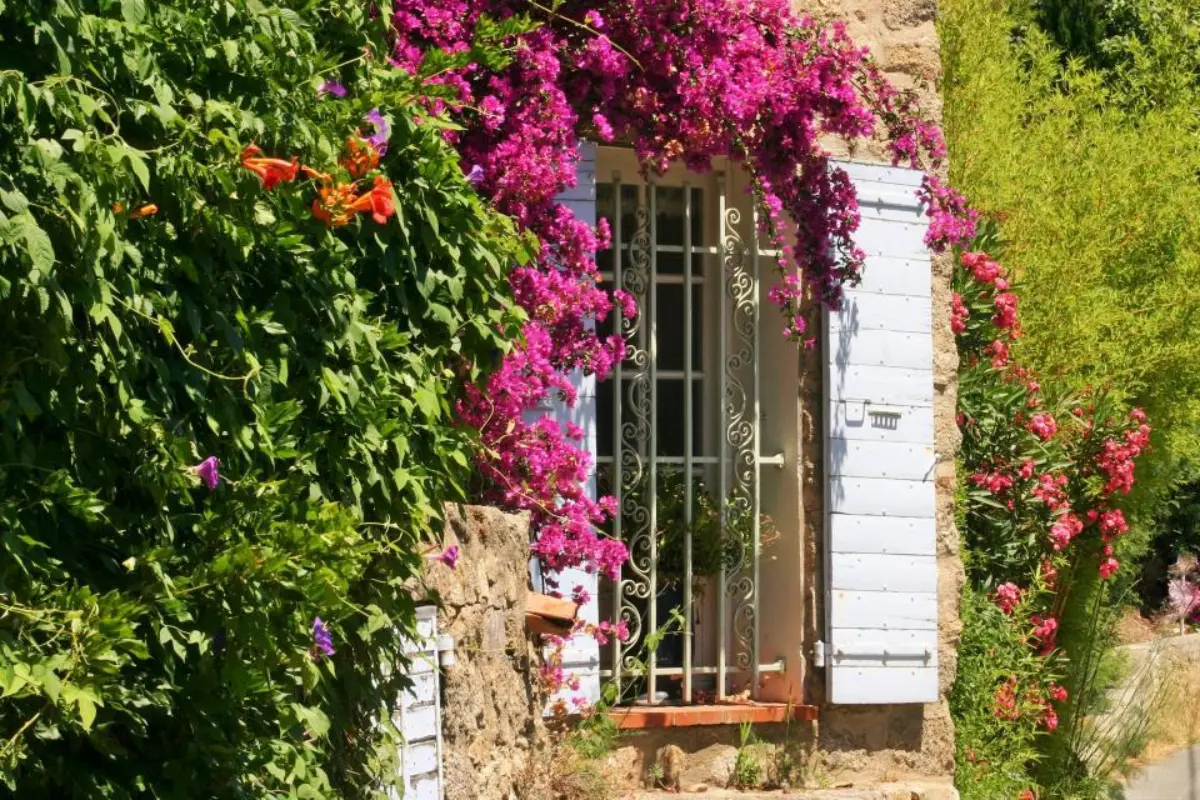 Prat lestagnol 19 le plan de la tour 0